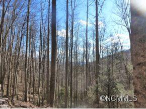 31 Black Oak Forest Road Fairview, NC 28730 - Photo 2 of 10 Gallery Image 2