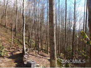 31 Black Oak Forest Road Fairview, NC 28730 - Photo 9 of 10 Gallery Image 9