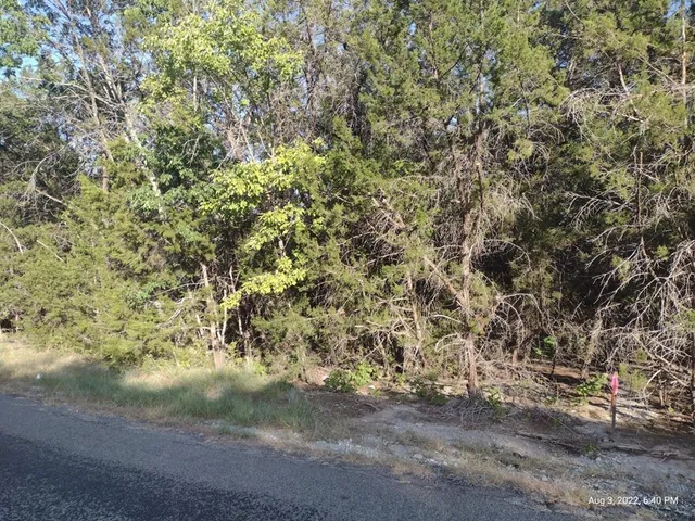 a view of a yard with large trees