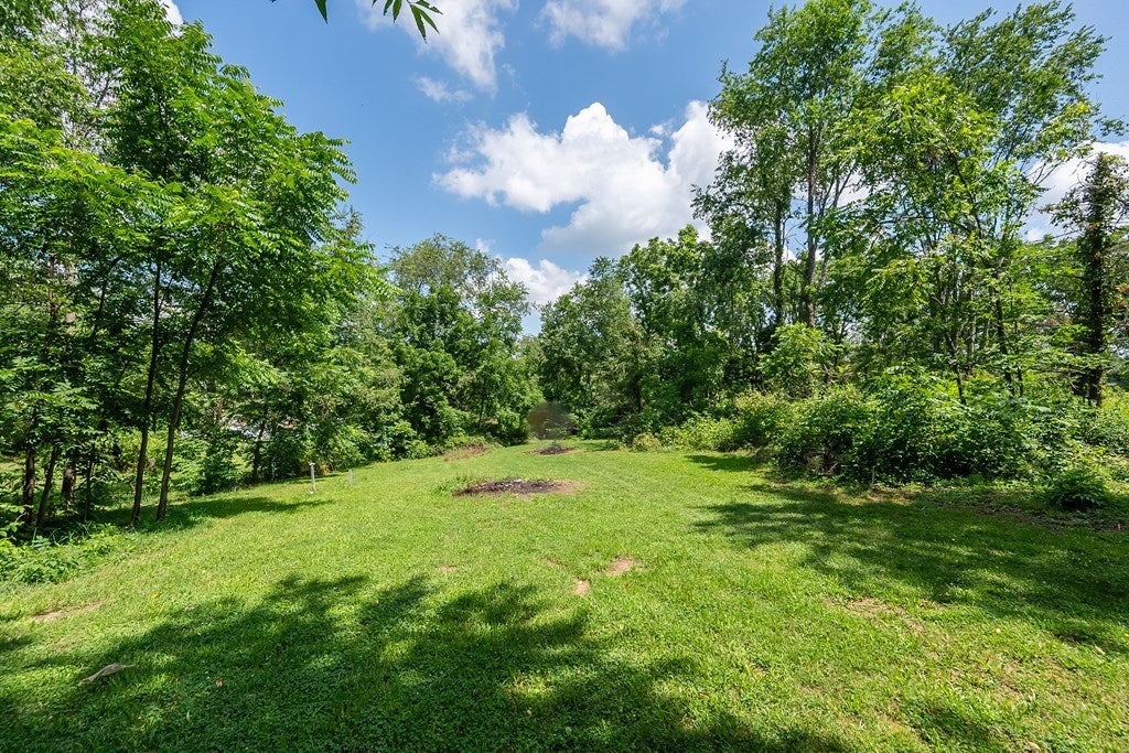 235 Frye Avenue Rural Retreat, VA 24368 - Photo 9 of 24 Gallery Image 9