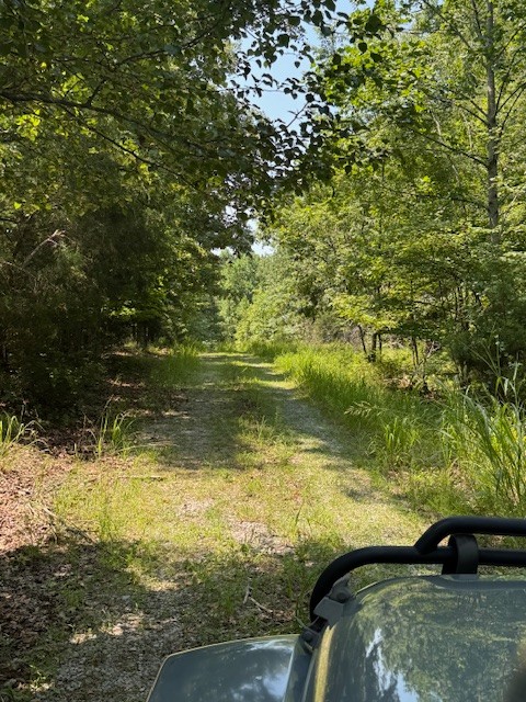 8062 Frame Hollow Road Nunnelly, TN 37137 - Photo 46 of 47