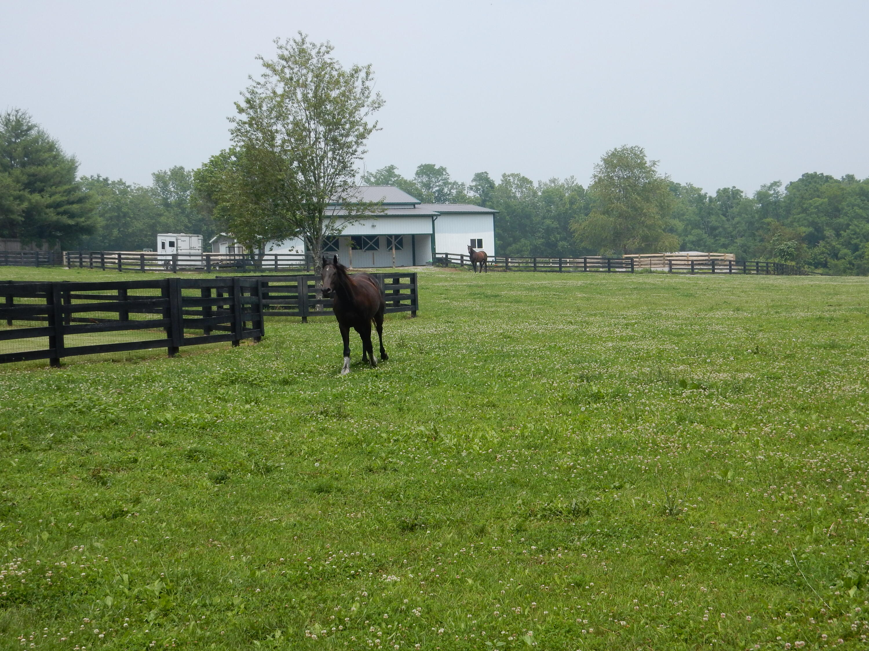 1370 Beaumont Road Nicholasville, KY 40356 - Photo 74 of 79 1370 Beaumont