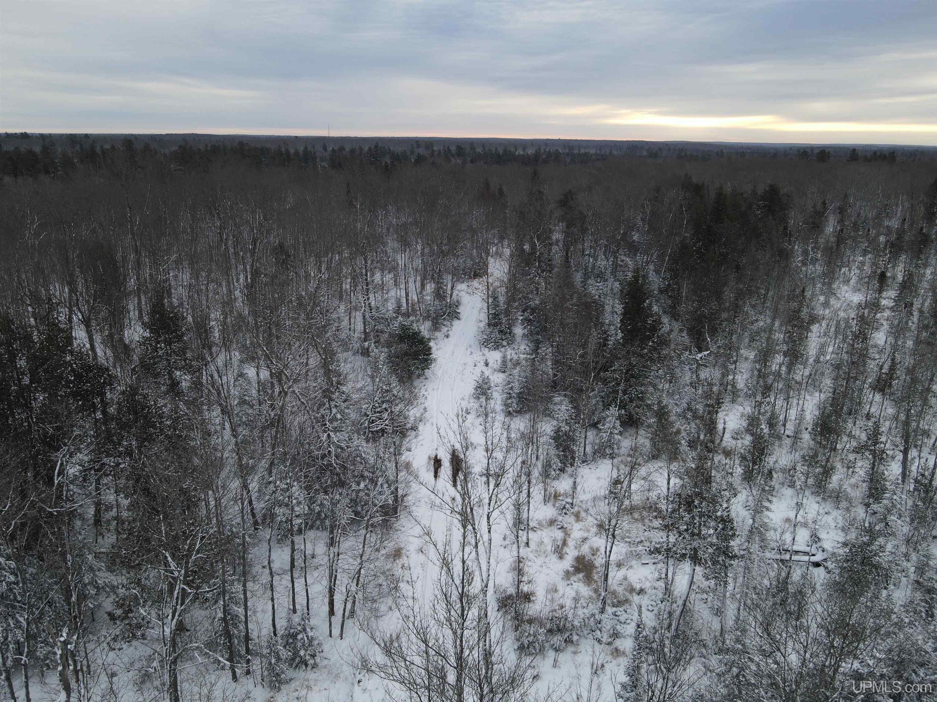 80-acr 80-acr Ford Road Watton, MI 49970 - Photo 1 of 17