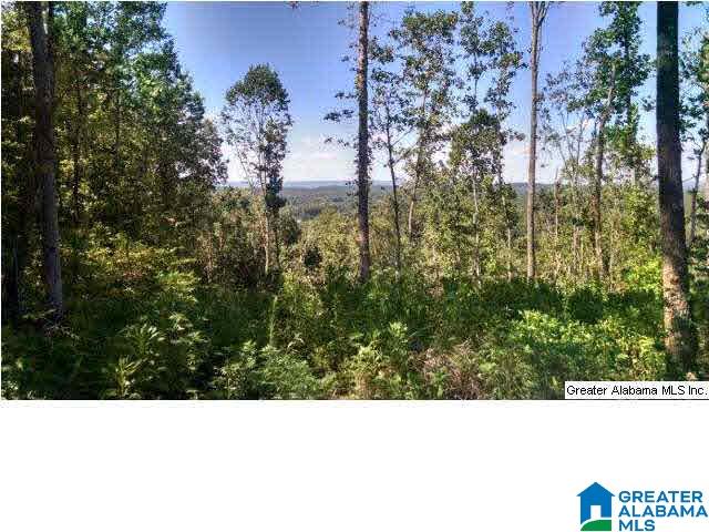 0 Beaver Ridge Drive, Unit 42 48 Ashville, AL 35953 - Photo 13 of 26