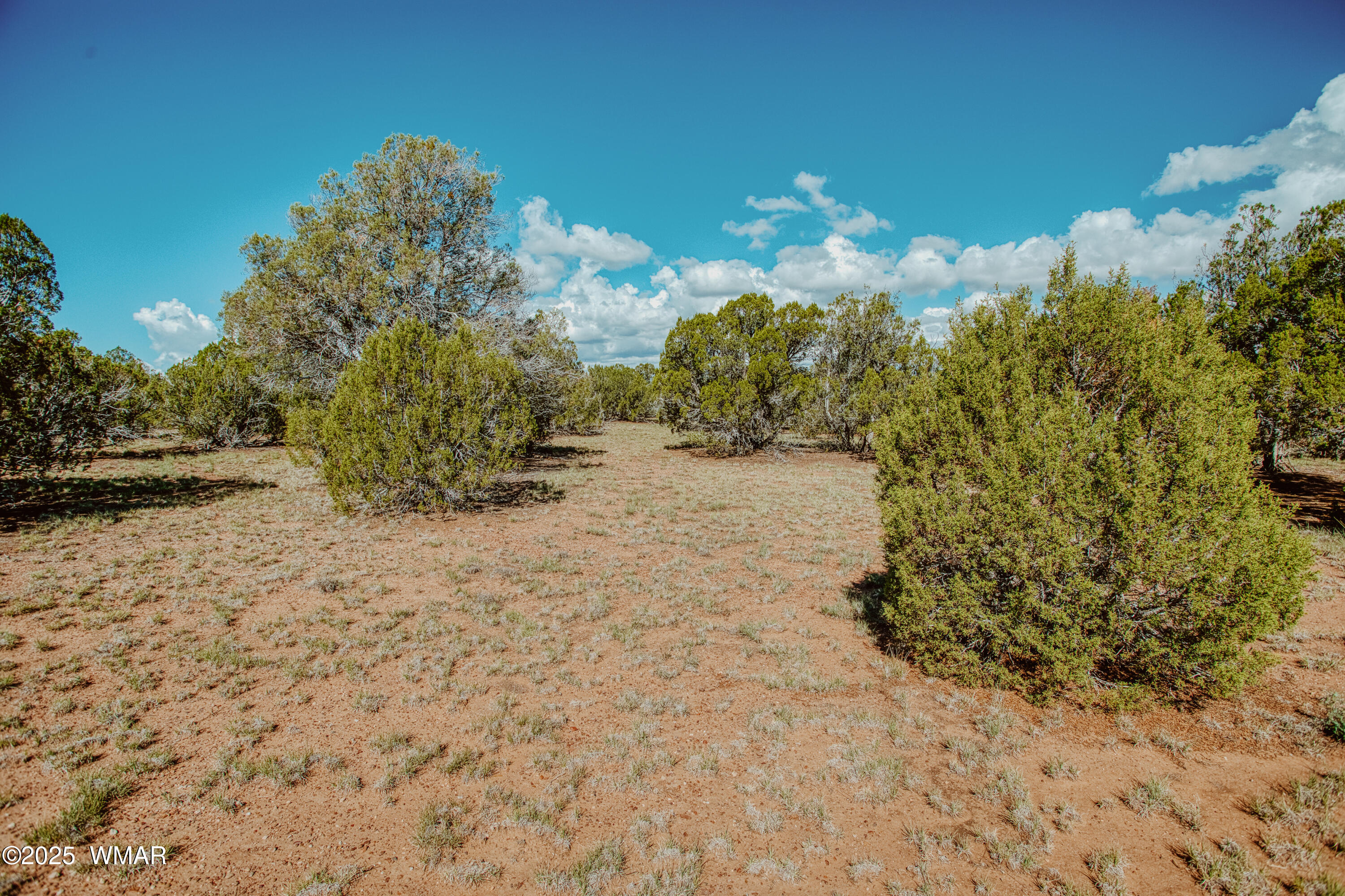 0 Pulp Mill Road Clay Springs, AZ 85923 - Photo 2 of 12 009A7918_HDR