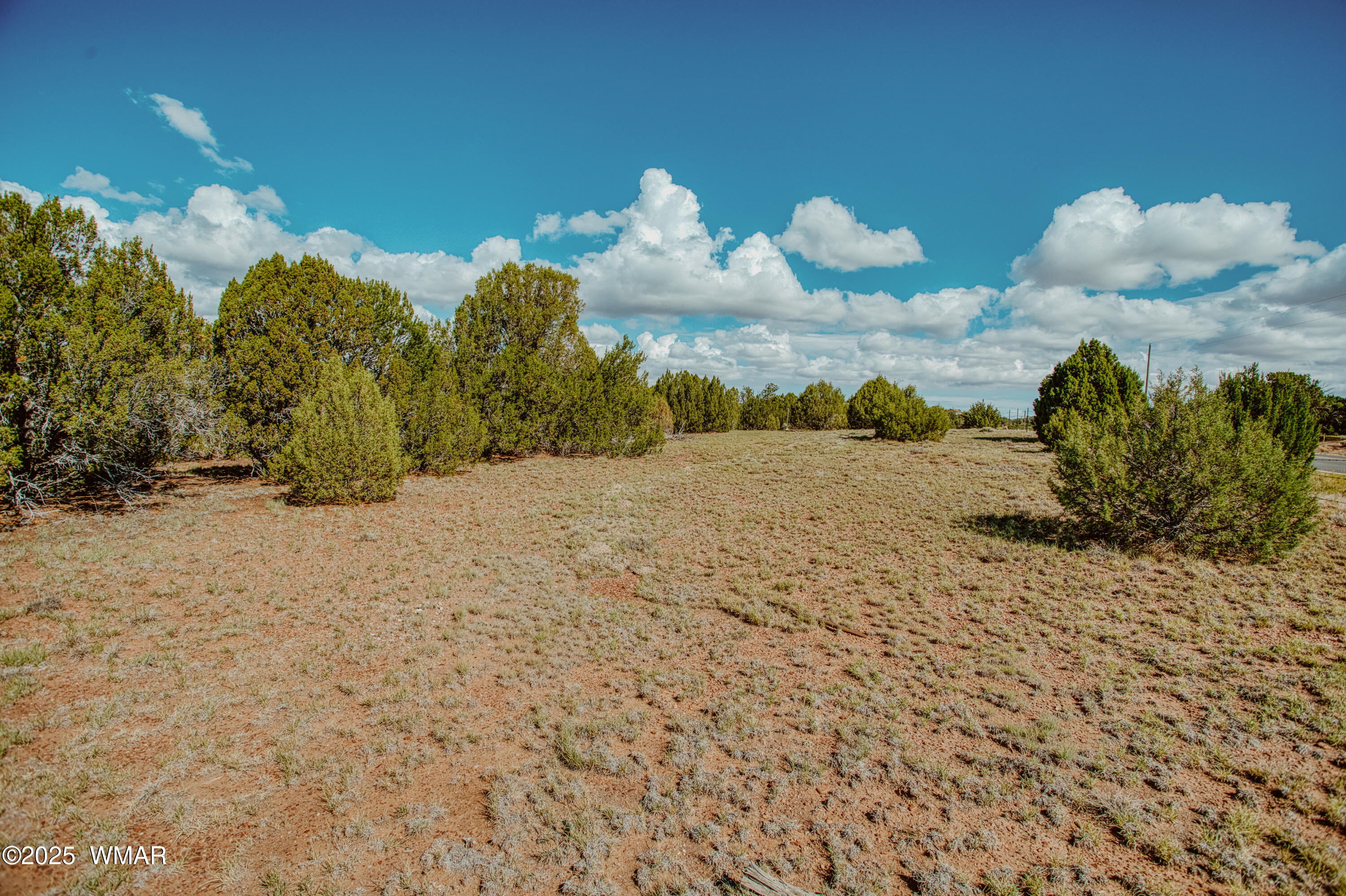 0 Pulp Mill Road Clay Springs, AZ 85923 - Photo 3 of 12 009A7921_HDR