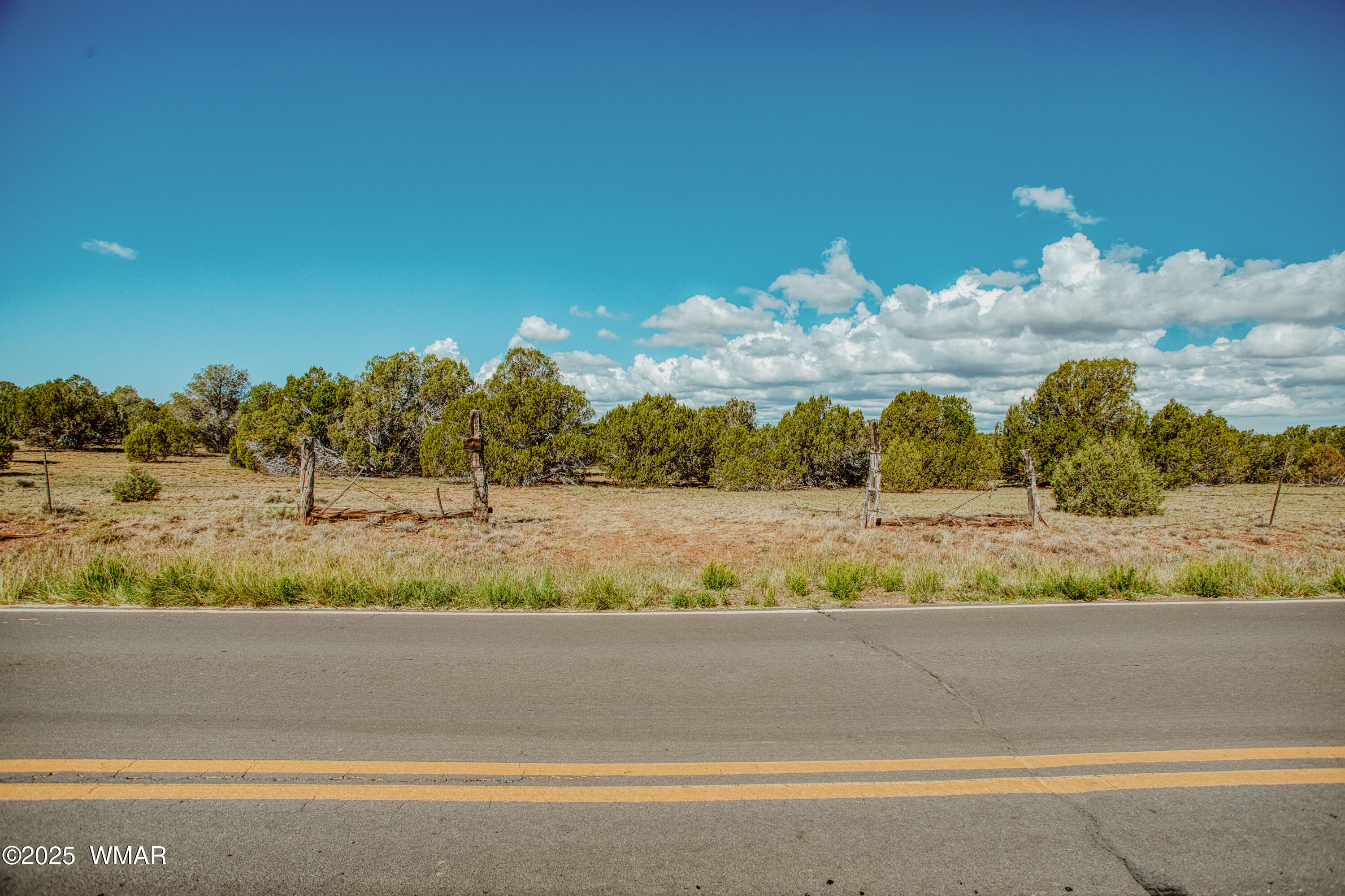 0 Pulp Mill Road Clay Springs, AZ 85923 - Photo 4 of 12 009A7927_HDR