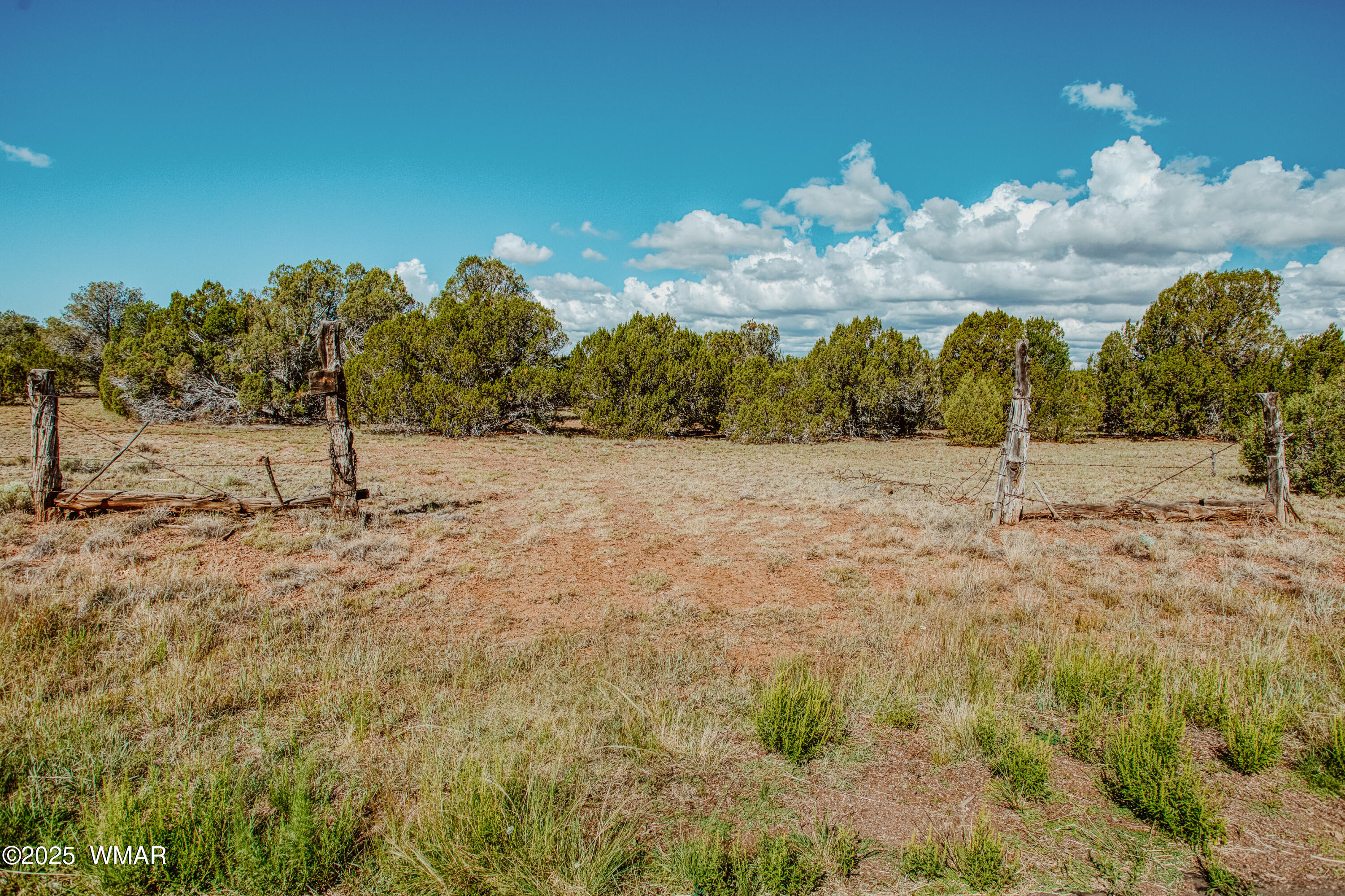 0 Pulp Mill Road Clay Springs, AZ 85923 - Photo 5 of 12 009A7930_HDR