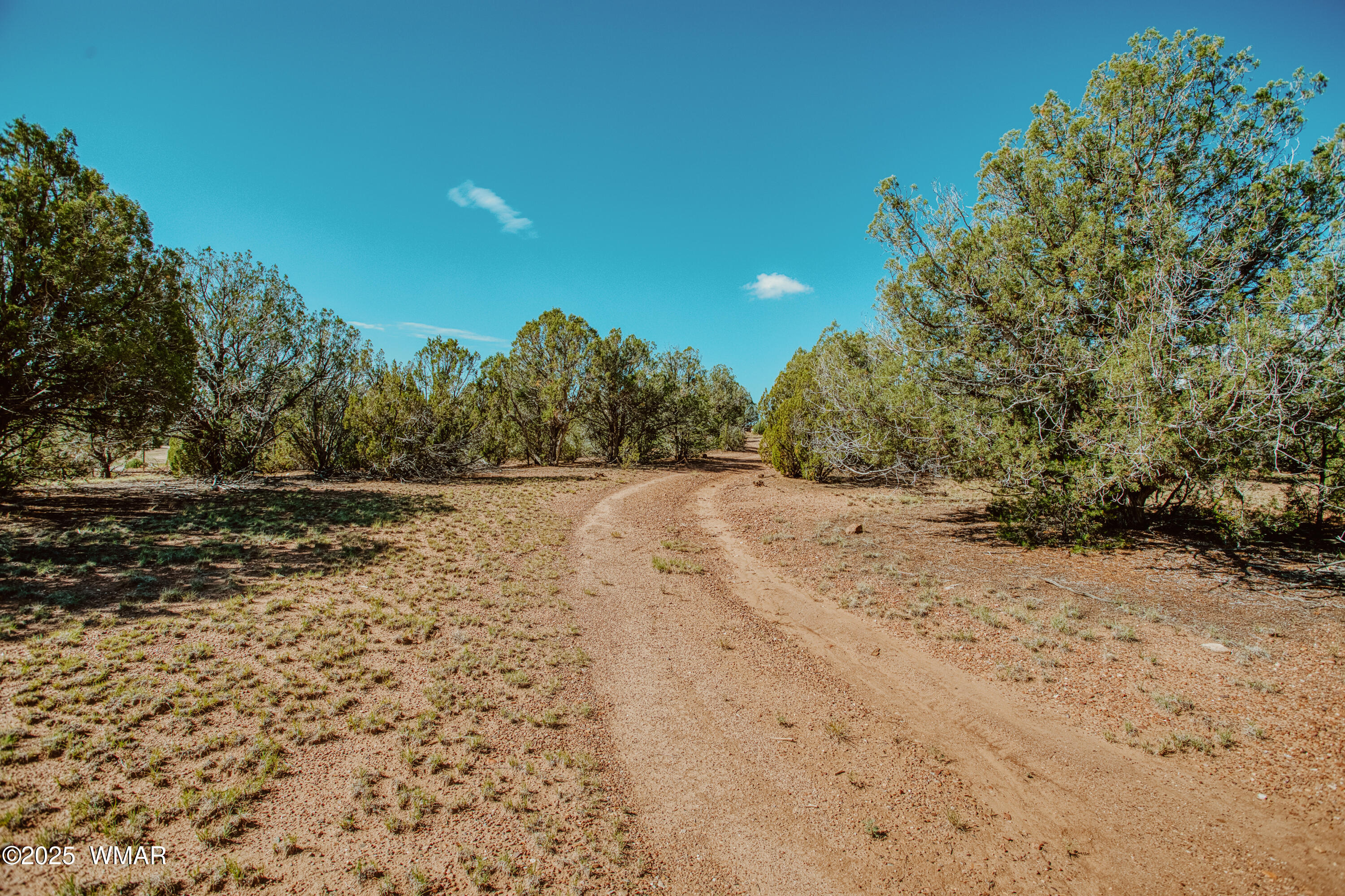 0 Pulp Mill Road Clay Springs, AZ 85923 - Photo 6 of 12 009A7933_HDR