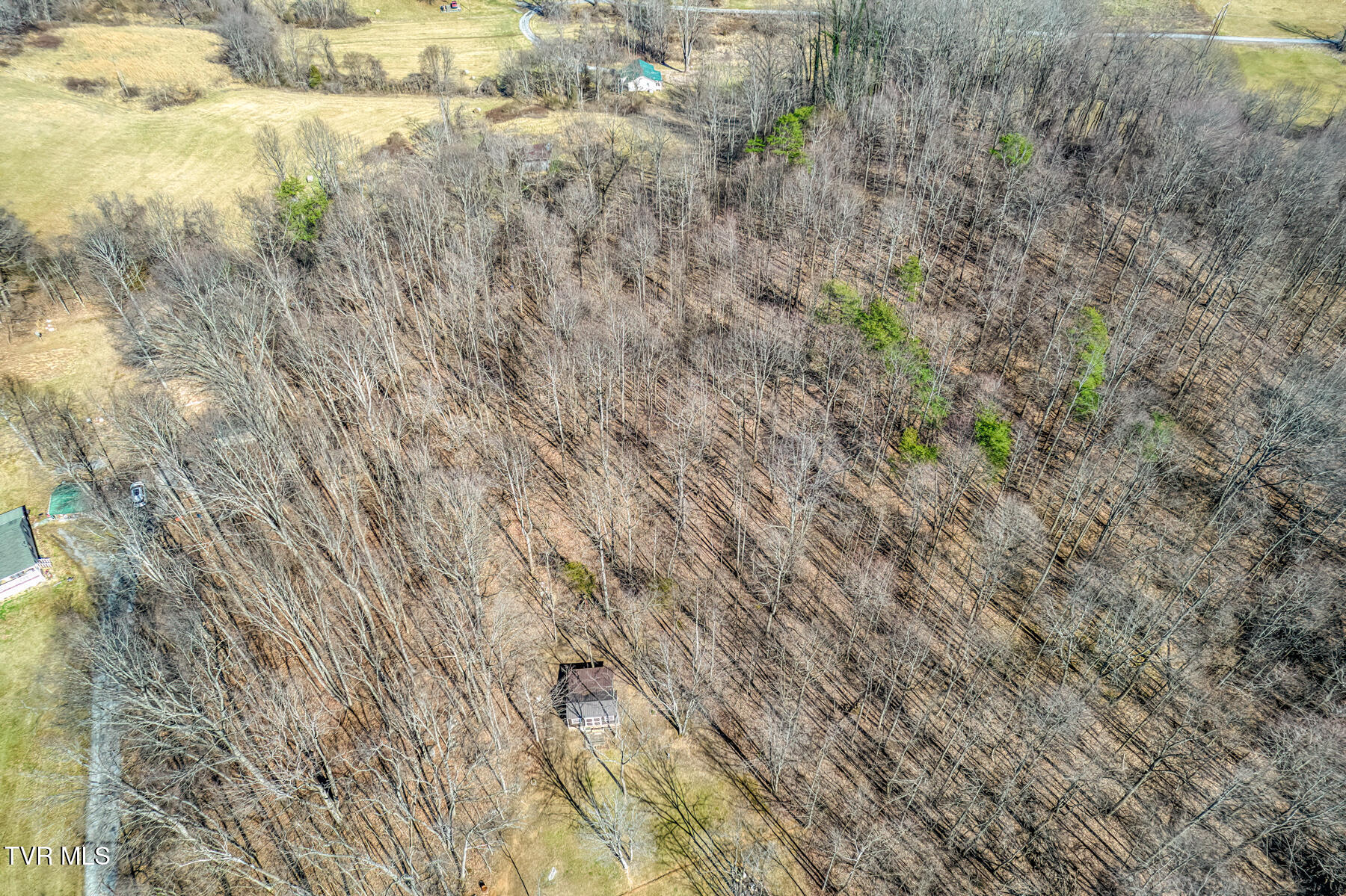 292 Clark Road Bristol, TN 37620 - Photo 41 of 42 292 Clark Rd-5