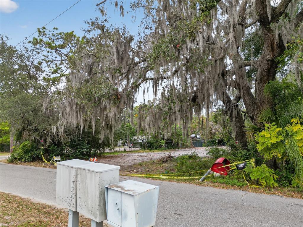 6935 Turquoise Lane Orlando, FL 32807 - Photo 15 of 27 a view of park with large trees