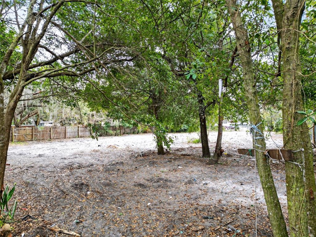 6935 Turquoise Lane Orlando, FL 32807 - Photo 16 of 27 a view of a tree in the middle of a yard