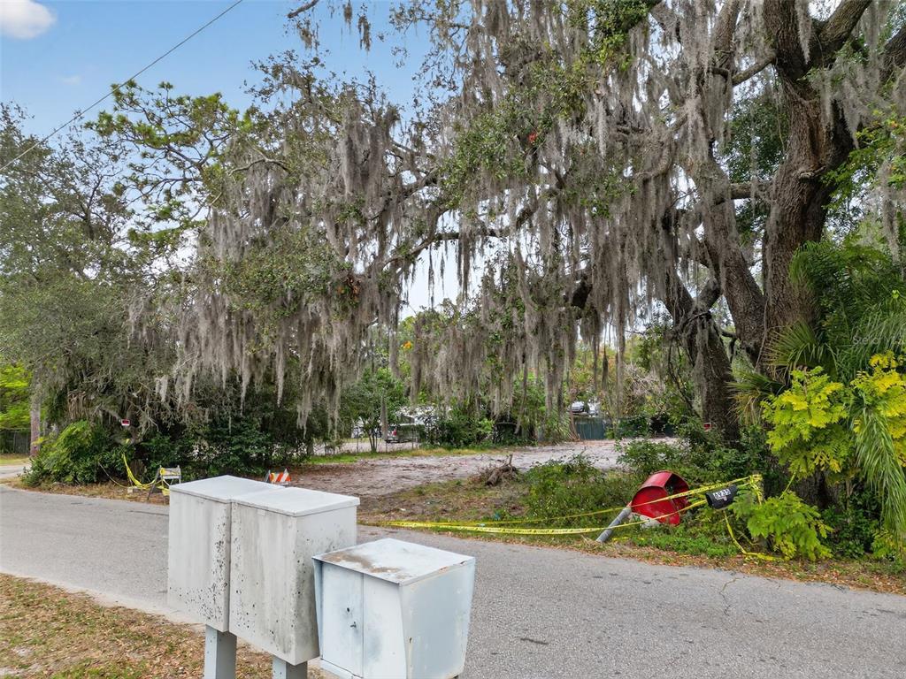 6935 Turquoise Lane Orlando, FL 32807 - Photo 25 of 27 a view of park with large trees