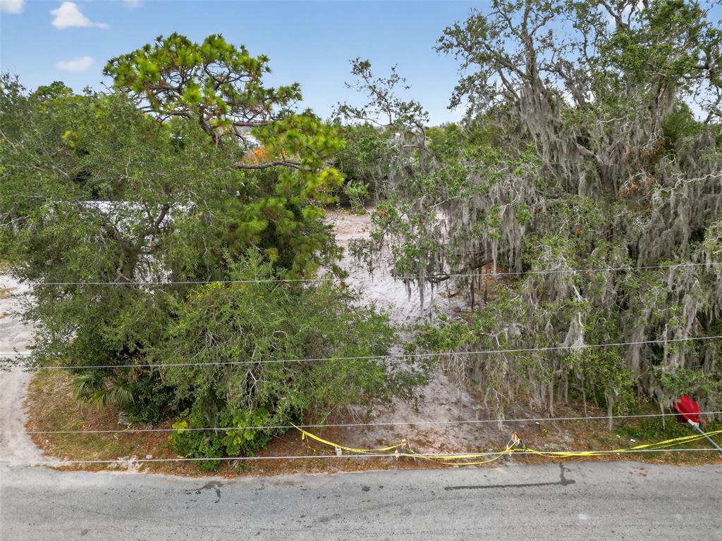6935 Turquoise Lane Orlando, FL 32807 - Photo 26 of 27 a backyard of a house with lots of green space