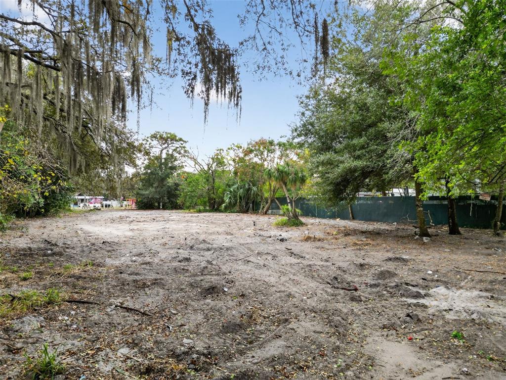 6935 Turquoise Lane Orlando, FL 32807 - Photo 4 of 27 a view of a yard with a tree