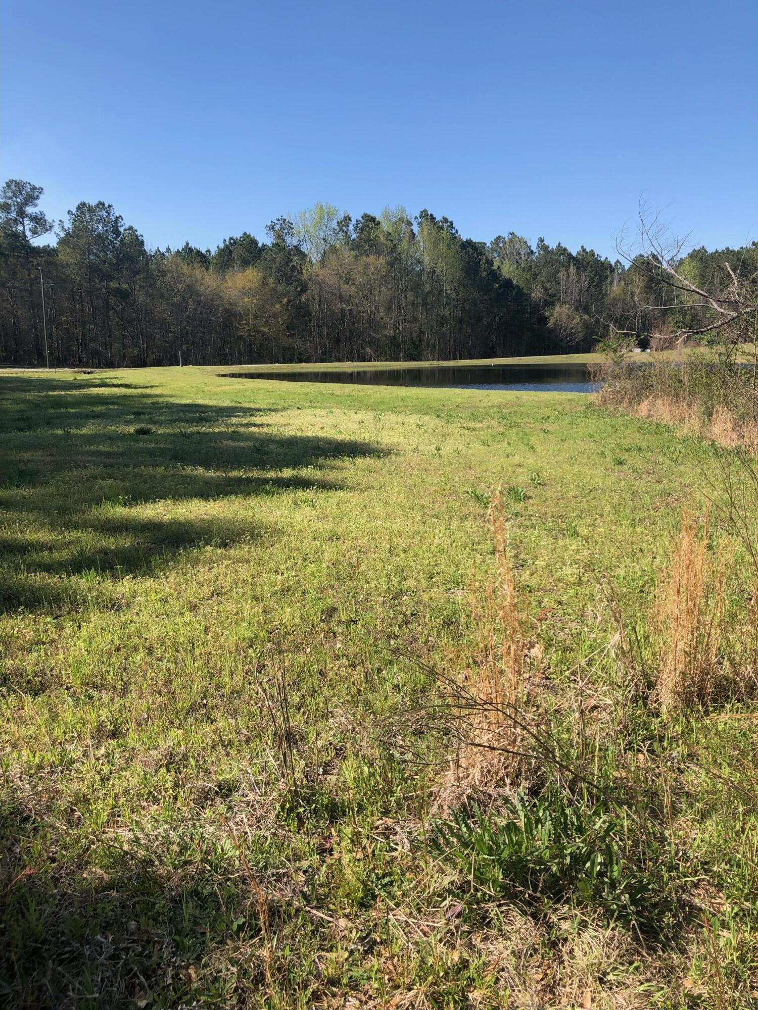 4.17-acres Starr Hinson Road Thomson, GA 30824 - Photo 3 of 17 overlooking neighbor's pond
