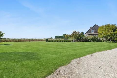 a view of a grassy field with grass and trees in the background