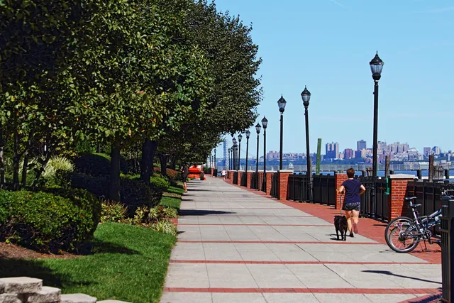 a view of tall trees with buildings