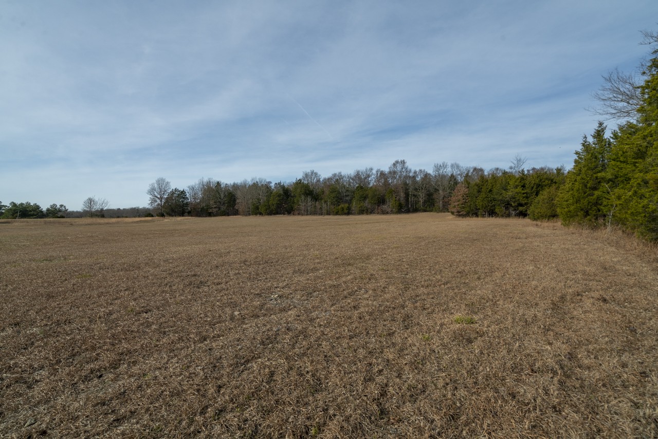 0 Floraton Road Readyville, TN 37149 - Photo 13 of 16 a view of outdoor space and mountain view