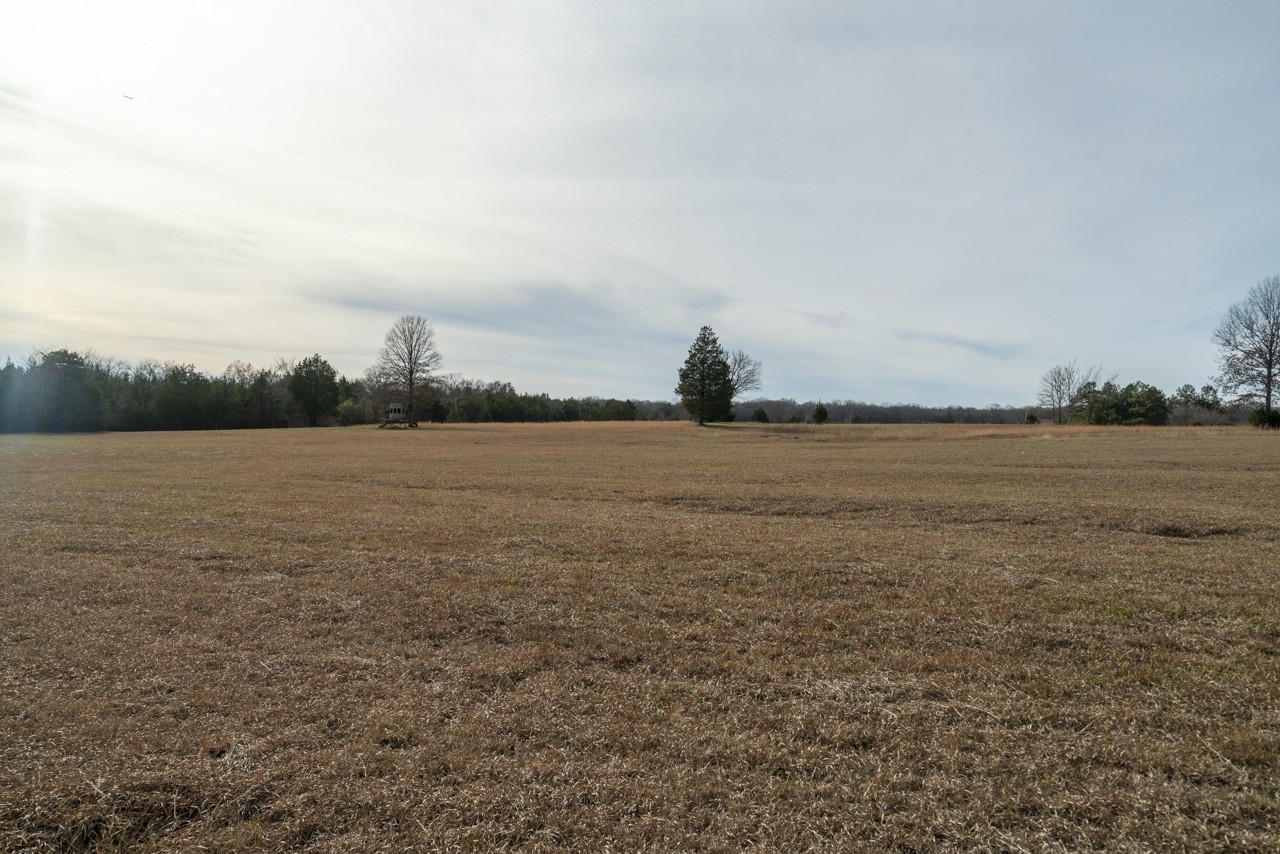0 Floraton Road Readyville, TN 37149 - Photo 16 of 16 a view of an ocean