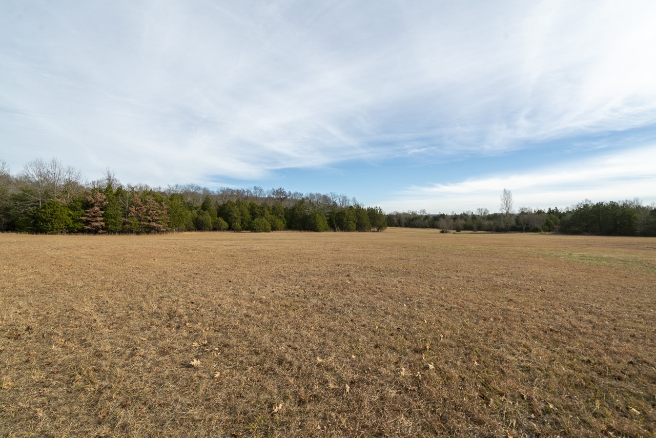 0 Floraton Road Readyville, TN 37149 - Photo 9 of 16 a view of lake with green field