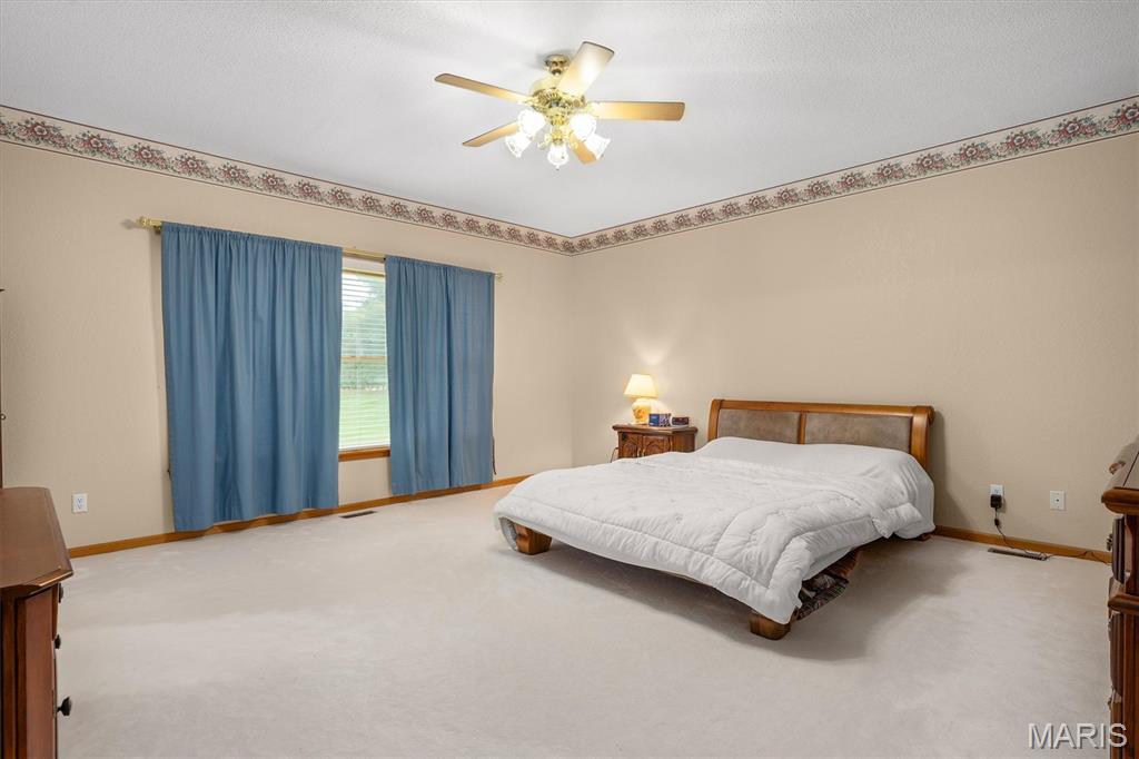 237 West Waters Edge Drive Shiloh, IL 62221 - Photo 23 of 56