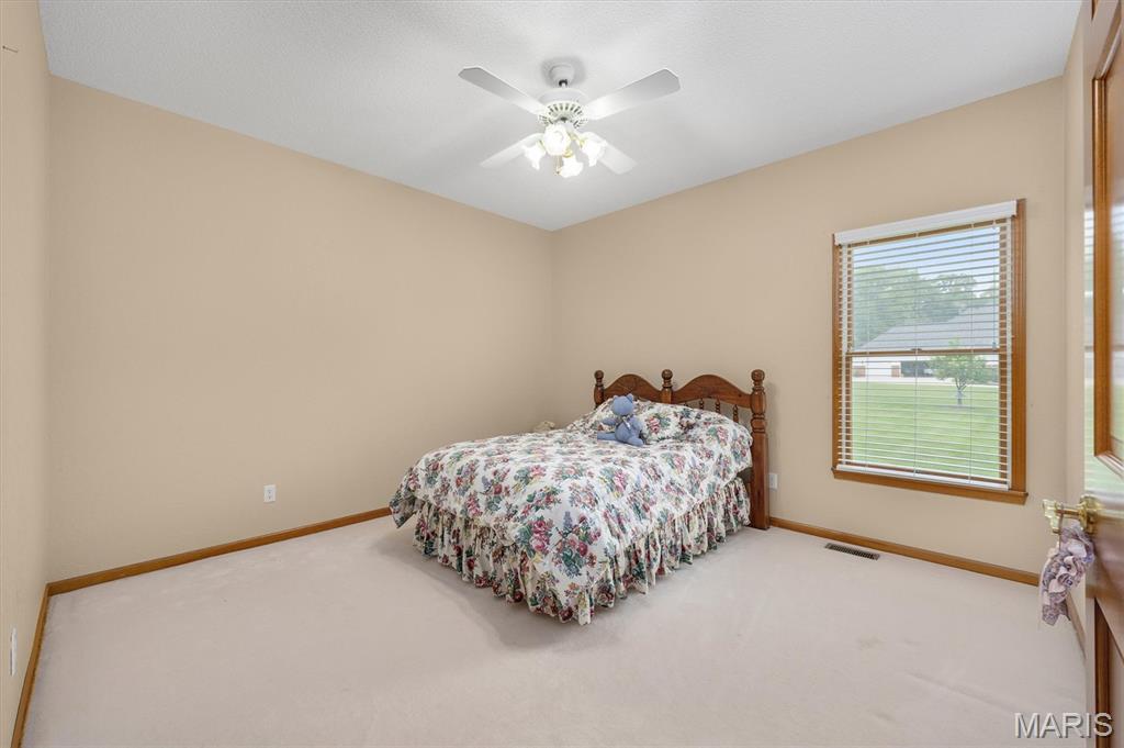 237 West Waters Edge Drive Shiloh, IL 62221 - Photo 26 of 56