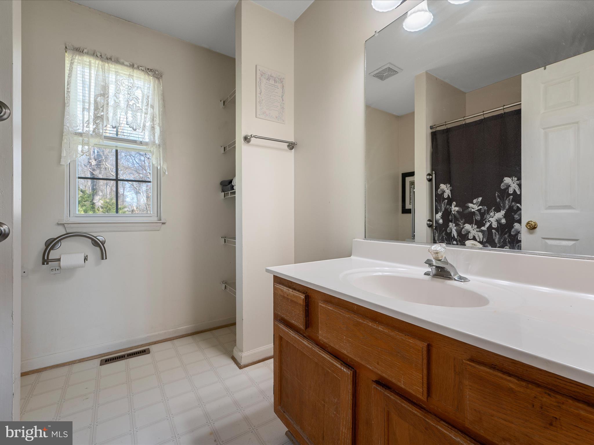 1264 Shepherds Mill Road Berryville, VA 22611 - Photo 29 of 54 Primary Bathroom