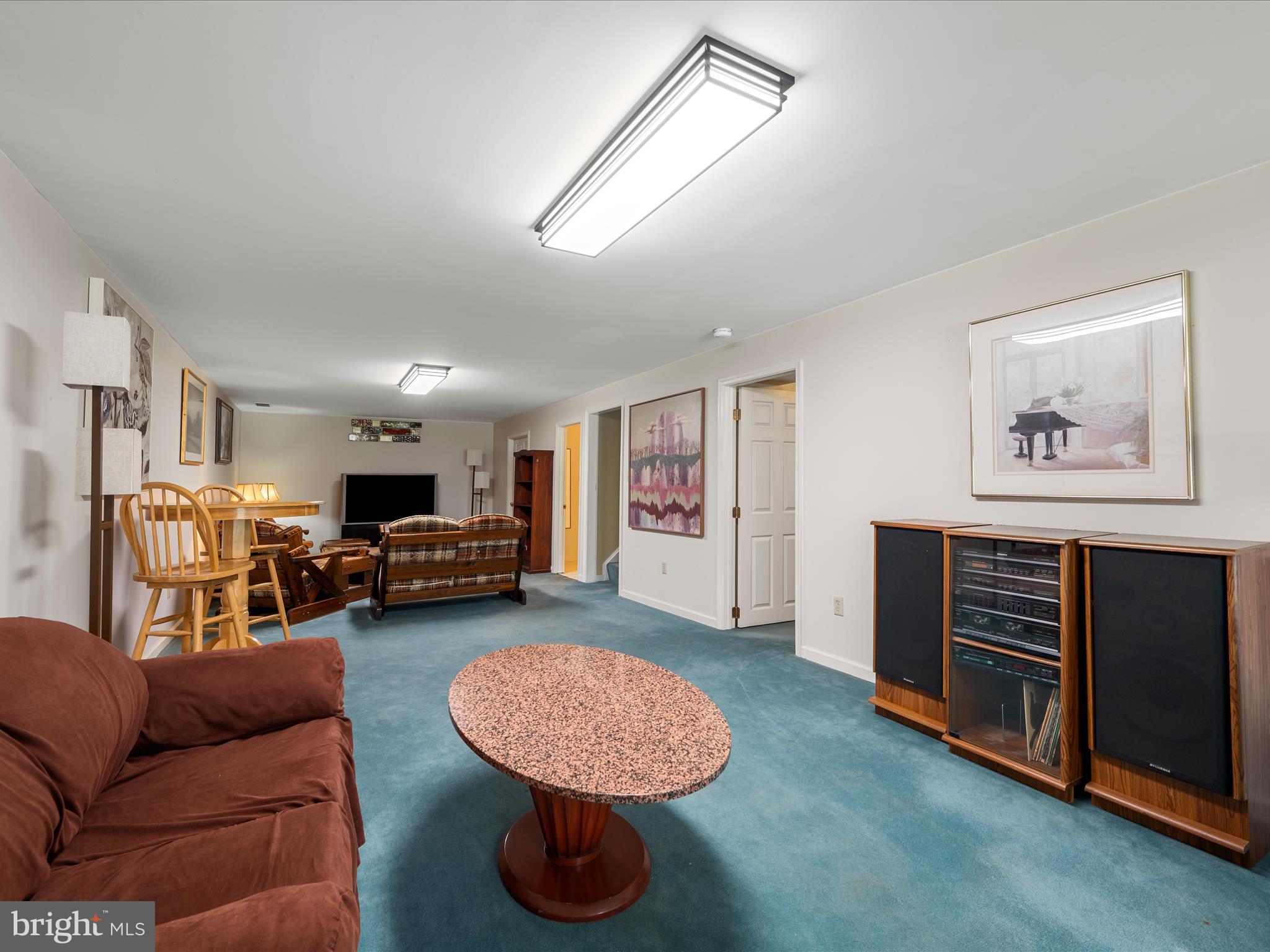 1264 Shepherds Mill Road Berryville, VA 22611 - Photo 34 of 54 Lower level gathering room