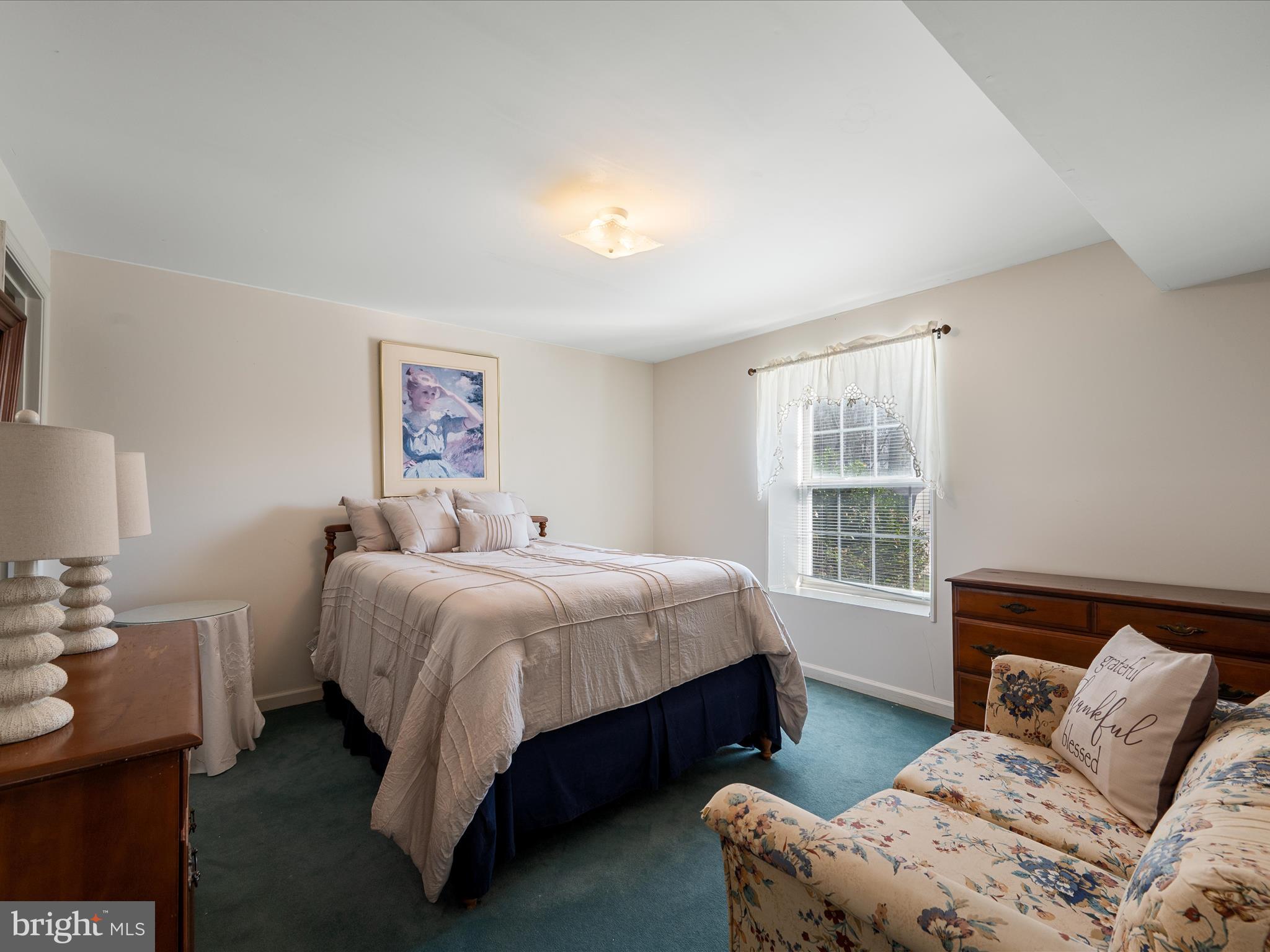 1264 Shepherds Mill Road Berryville, VA 22611 - Photo 35 of 54 Bedroom 1 in lower level