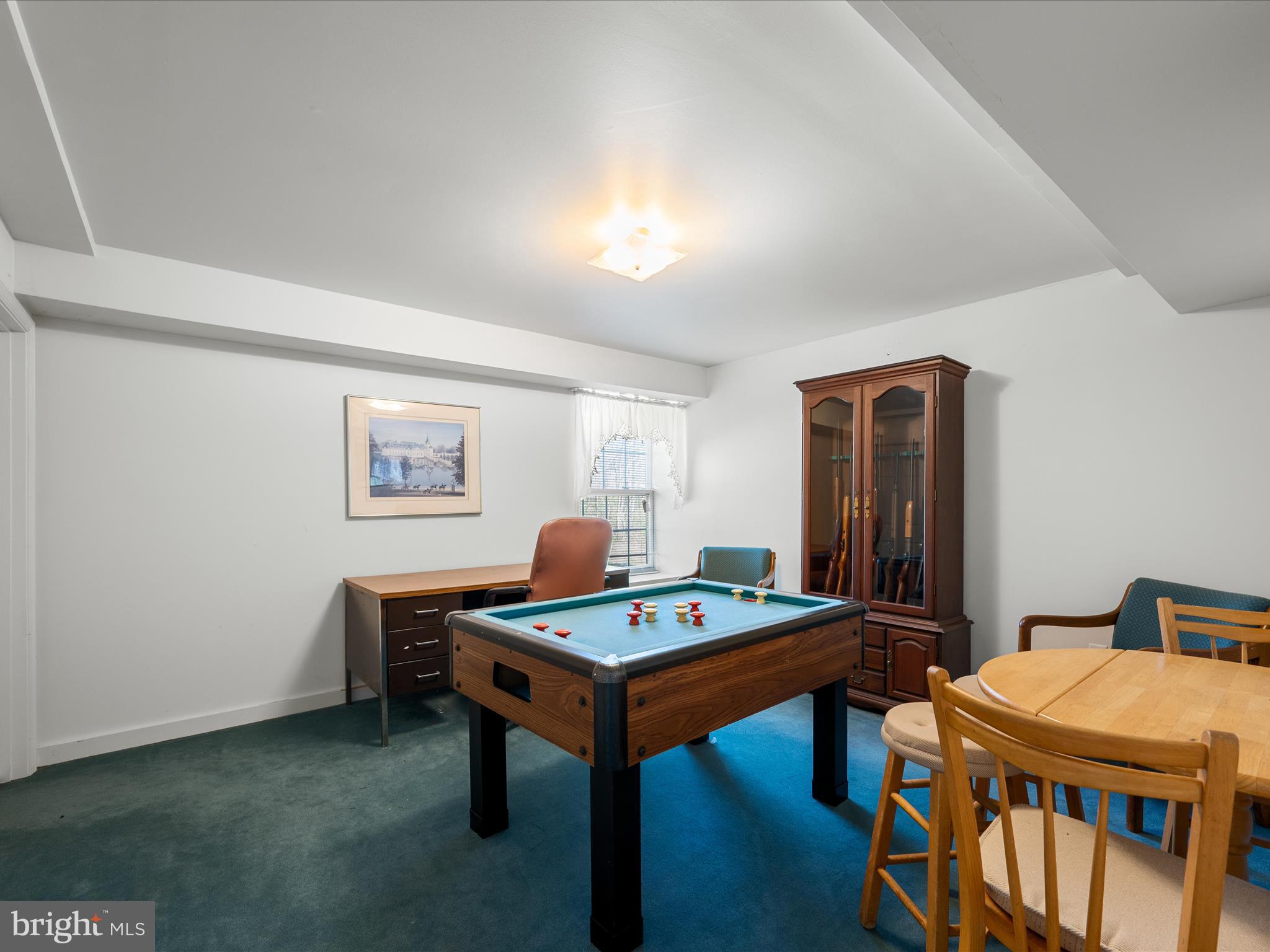 1264 Shepherds Mill Road Berryville, VA 22611 - Photo 37 of 54 Lower level Bedroom 2 or playroom