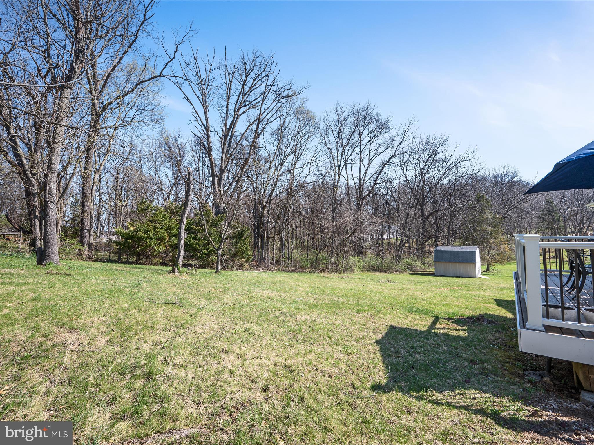 1264 Shepherds Mill Road Berryville, VA 22611 - Photo 40 of 54 Backyard