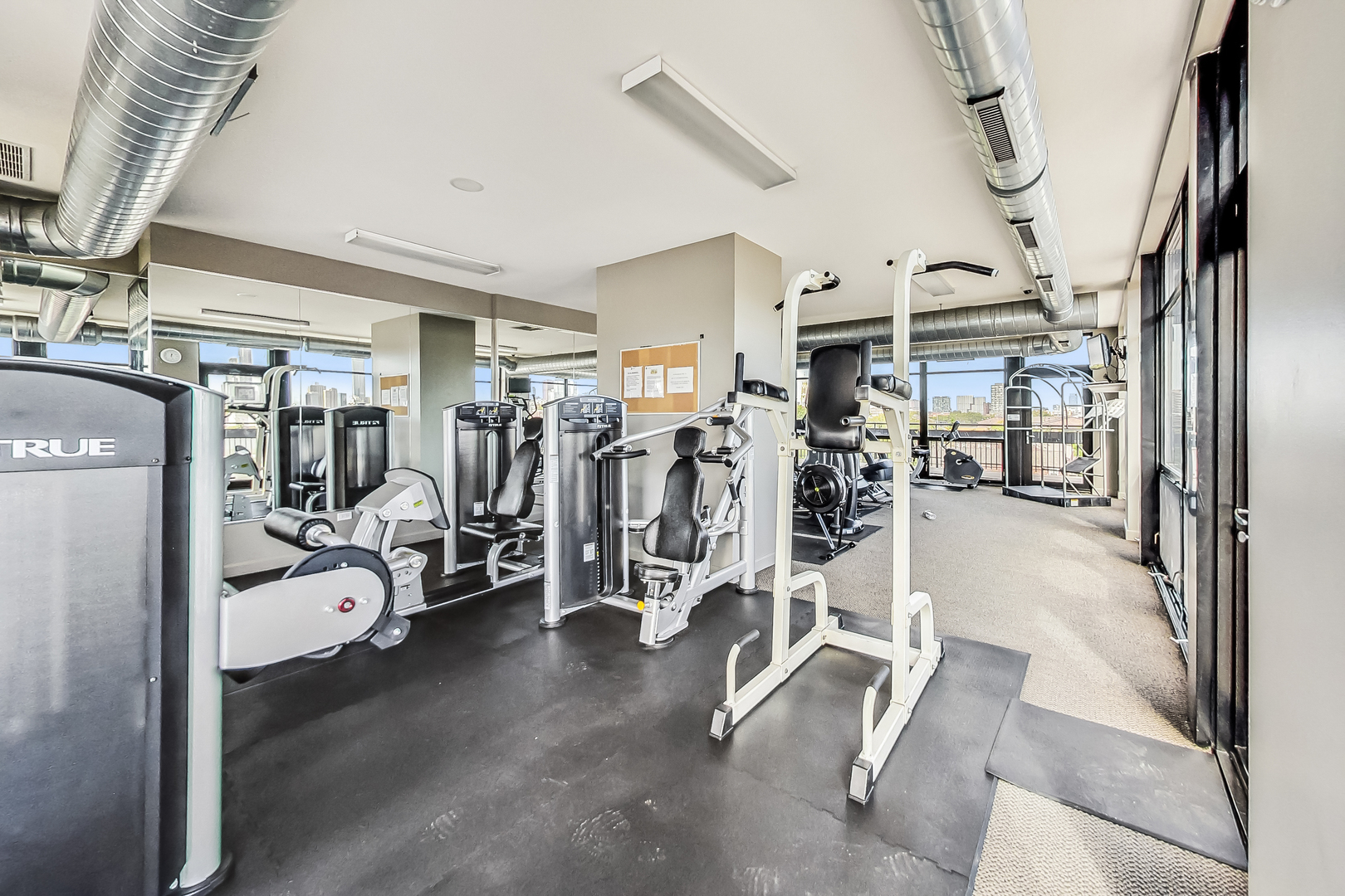 1070 West 15th Street, Unit 306 Chicago, IL 60608 - Photo 23 of 30