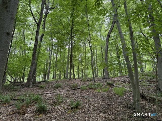 Lot10-b1 Foot Hills Road Higganum, CT 06441 - Photo 16 of 33 a view of outdoor space and green space