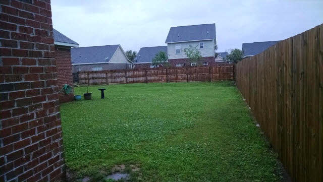1325 Dominoe Trail Foley, AL 36535 - Photo 3 of 9 Fenced Back Yard