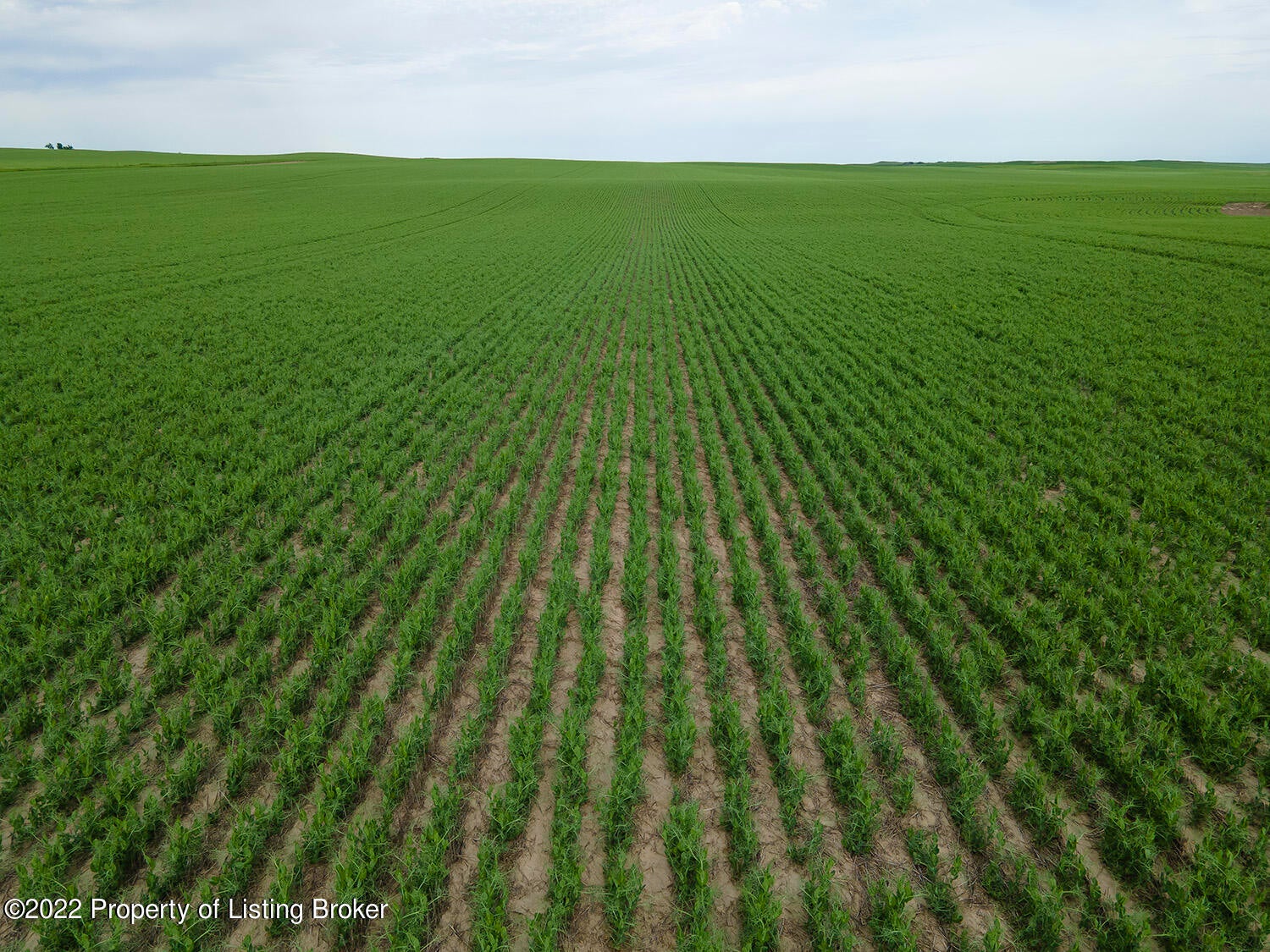 30th St Beach Southwest Beach, ND 58621 - Photo 1 of 1 DJI_0318