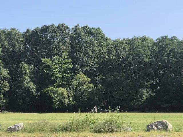 an aerial view of a yard