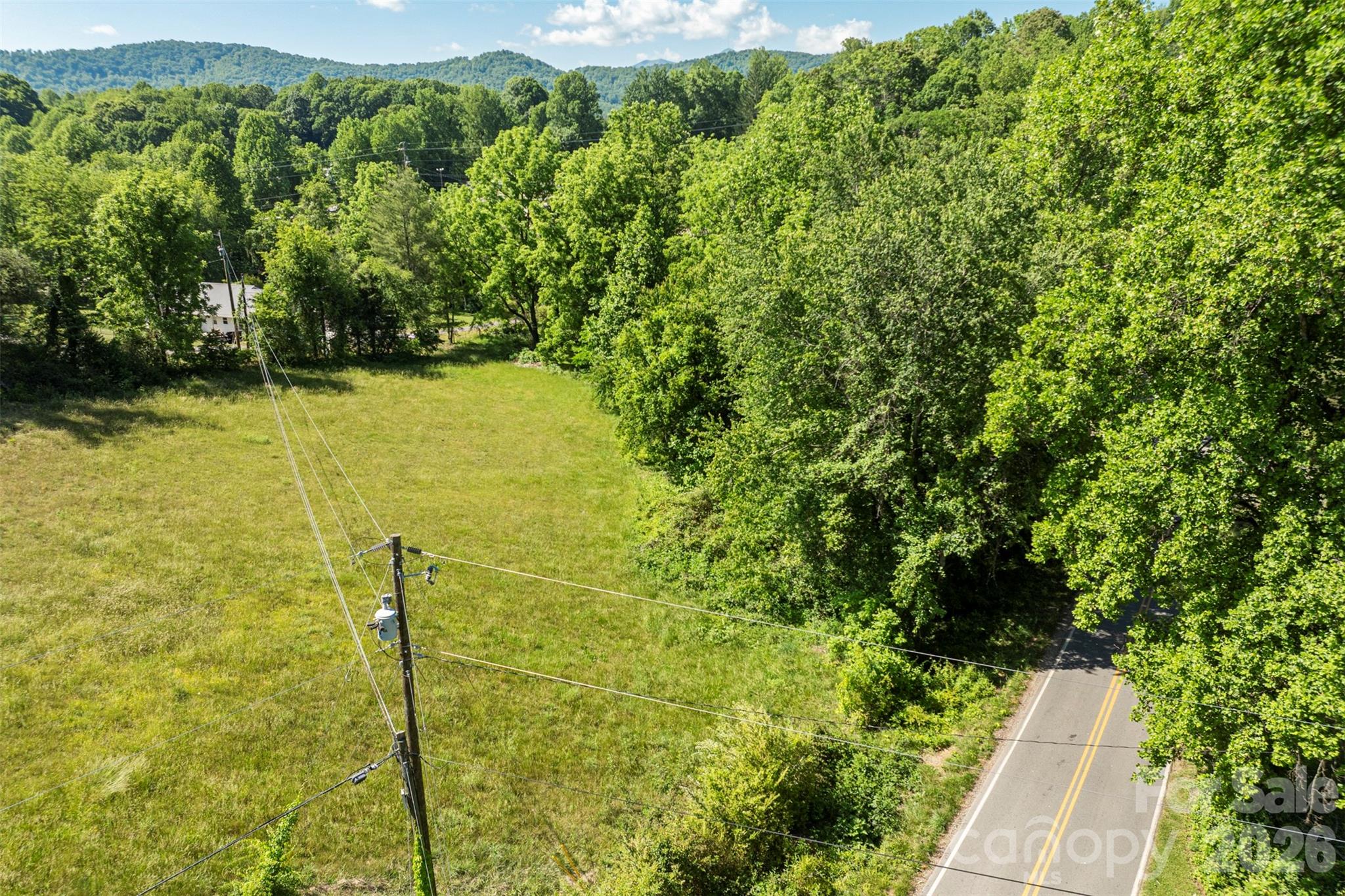 99999 Luther Road Candler, NC 28715 - Photo 3 of 14 Gallery Image 3