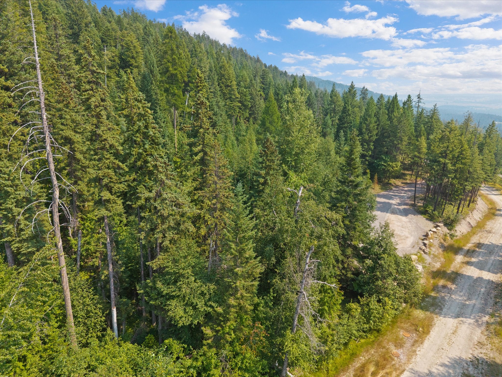 168 Whitefish Lookout Road Whitefish, MT 59937 - Photo 12 of 21 Gallery Image 12