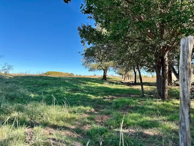 a view of swimming pool with a yard