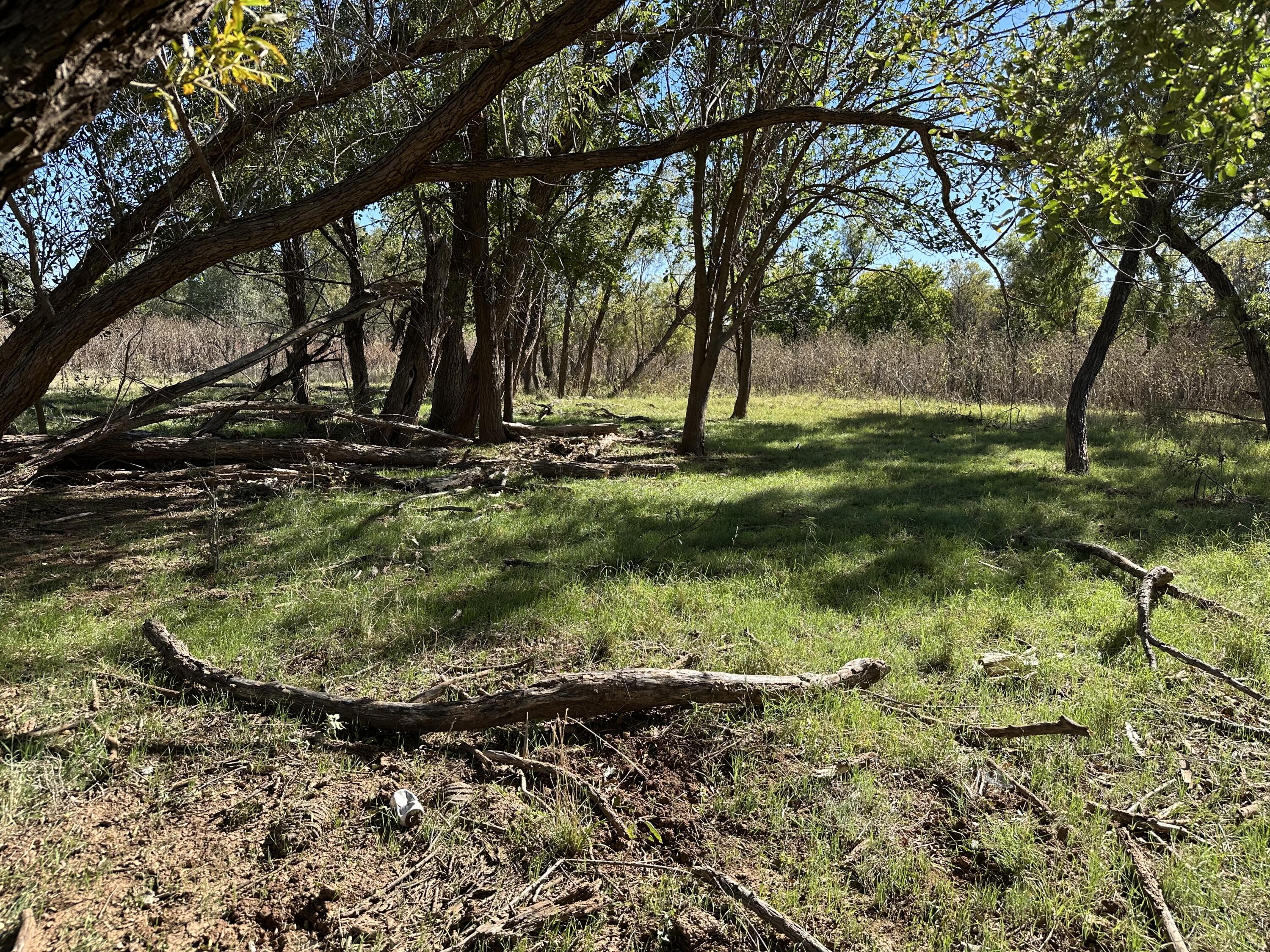 4 25 /- Acres State Highway Turkey, TX 79261 - Photo 14 of 18 a view of a tree in a yard