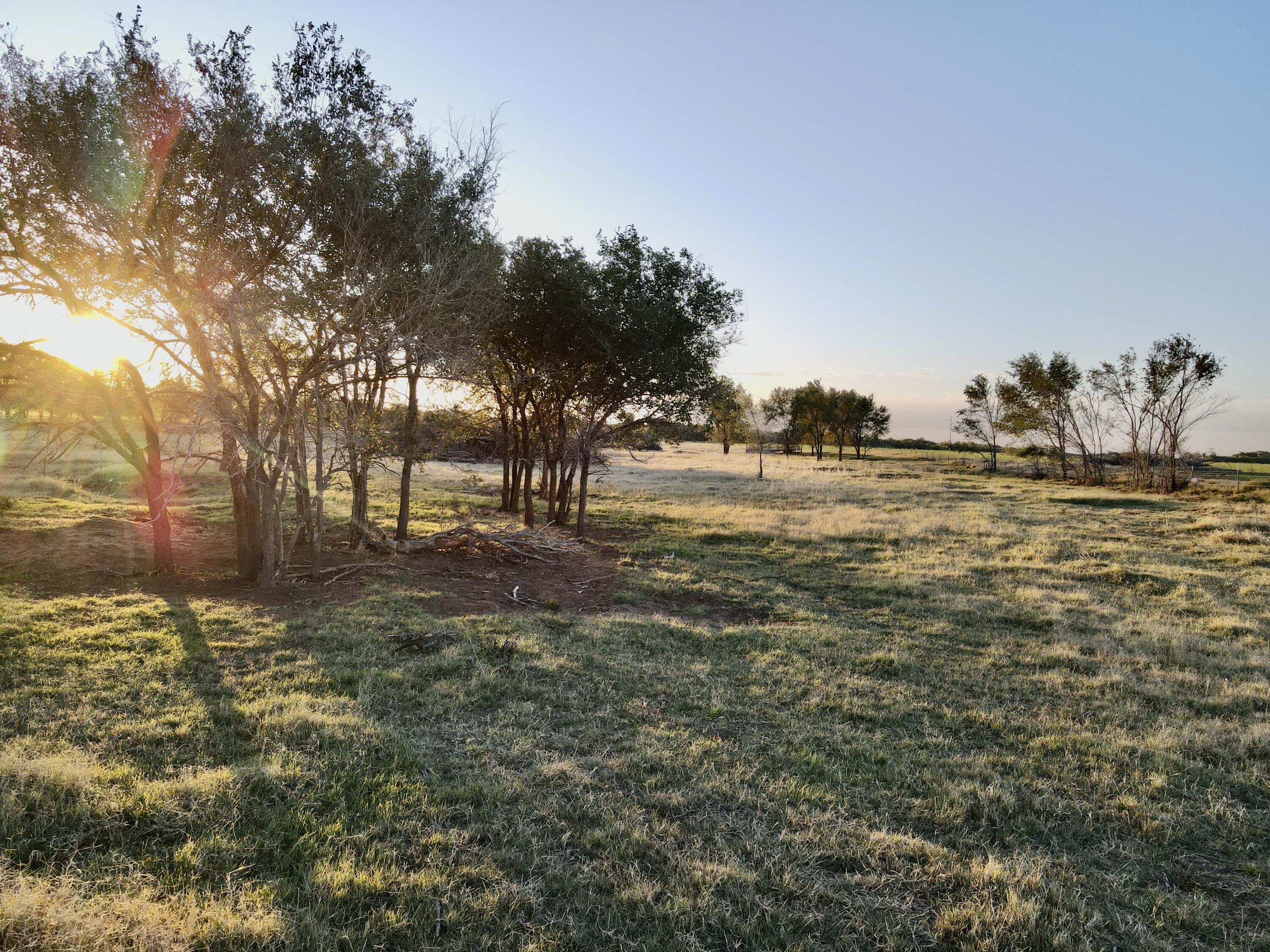 4 25 /- Acres State Highway Turkey, TX 79261 - Photo 2 of 18 a view of a yard with a tree