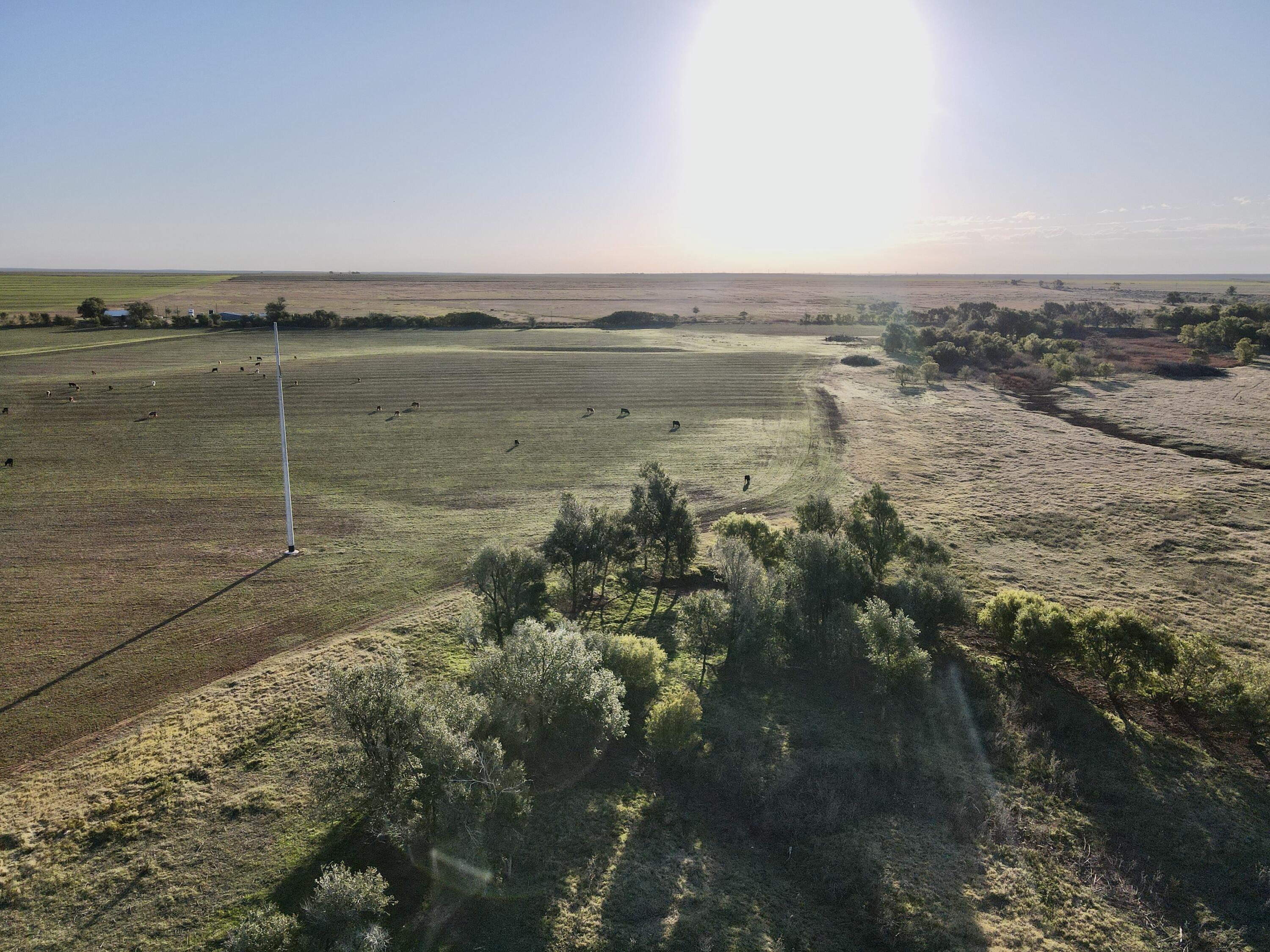 4 25 /- Acres State Highway Turkey, TX 79261 - Photo 8 of 18 a view of a lake view