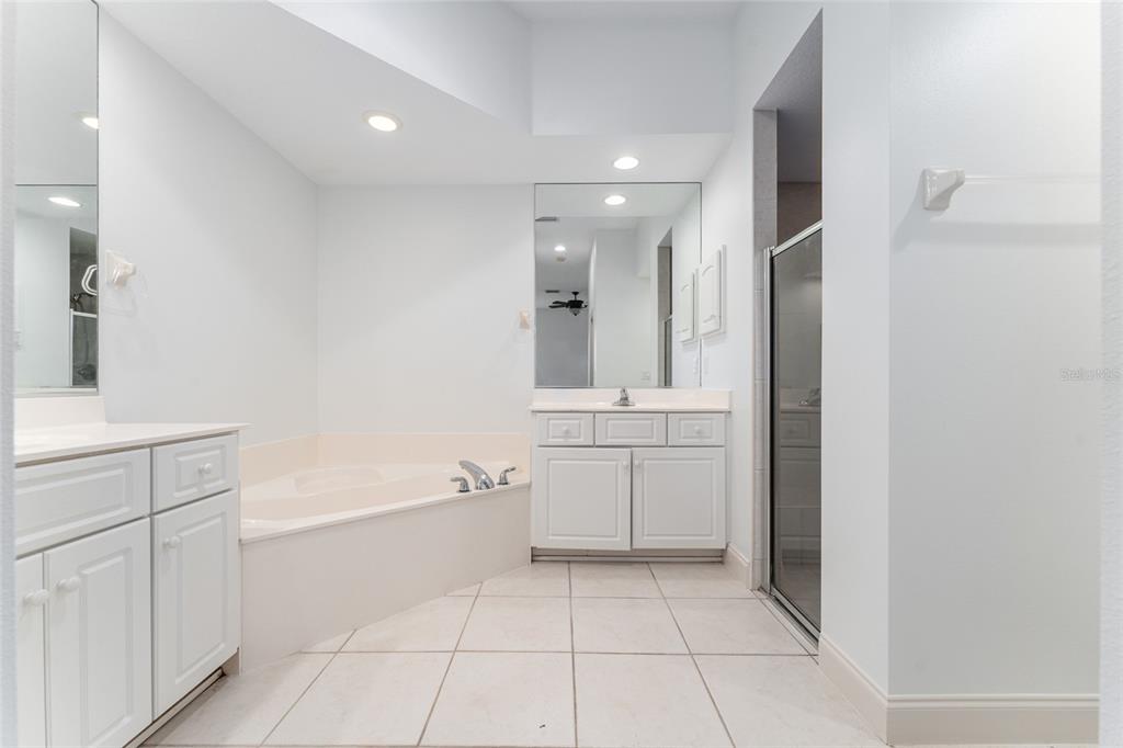 3003 Southwest 41st Place Ocala, FL 34474 - Photo 26 of 51 a bathroom with a sink a mirror and a bathtub