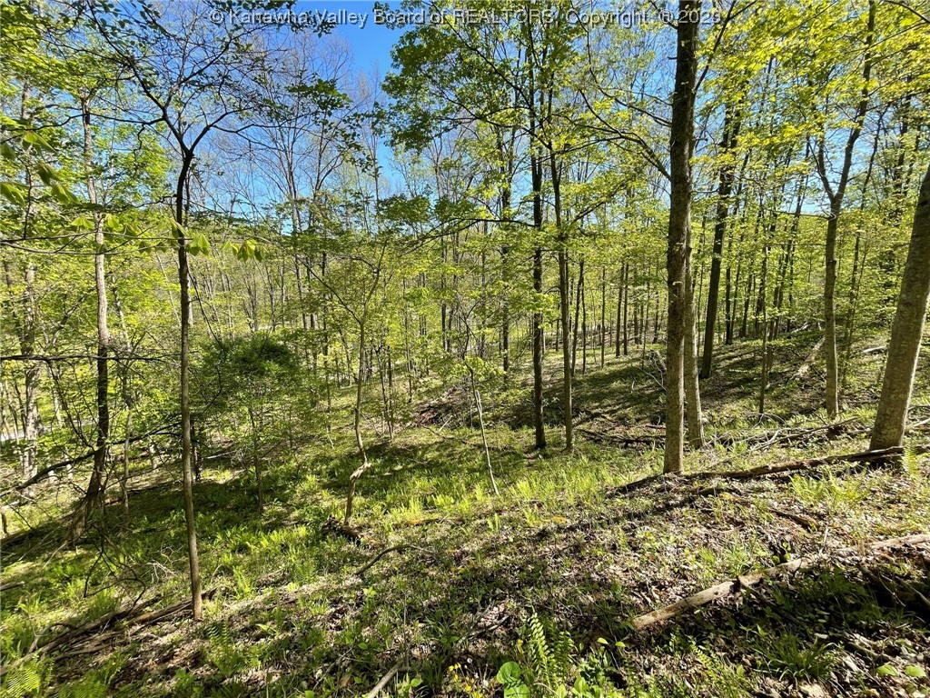9619 Charleston Road Ripley, WV 25271 - Photo 37 of 44 Gallery Image 37