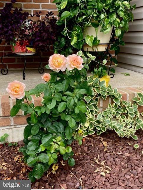 3 Inlet Place Lewes, DE 19958 - Photo 52 of 56