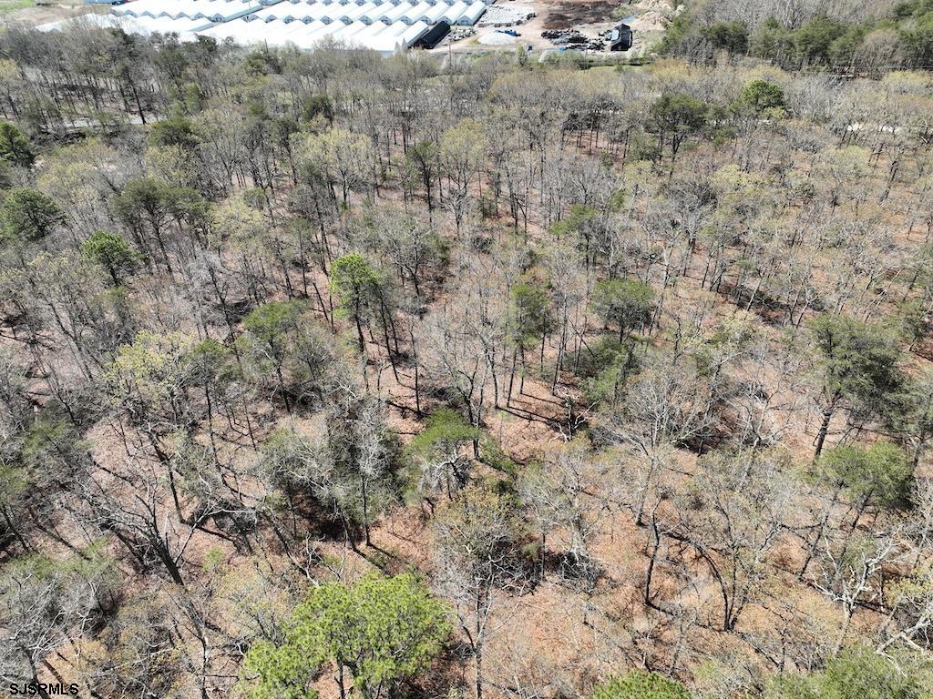 351 Shaws Mill Road Newport, NJ 08345 - Photo 62 of 84