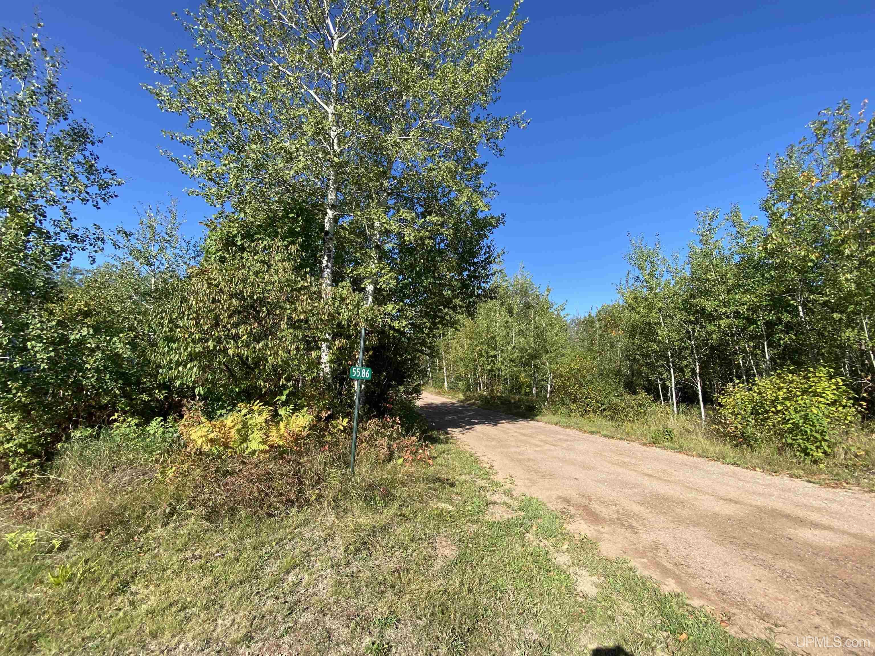 5586 South Helen Lake Road Ishpeming, MI 49849 - Photo 6 of 54