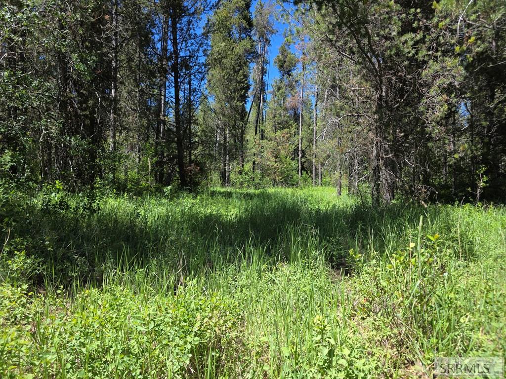 4585 East 1400 Road North Ashton, ID 83420 - Photo 27 of 31