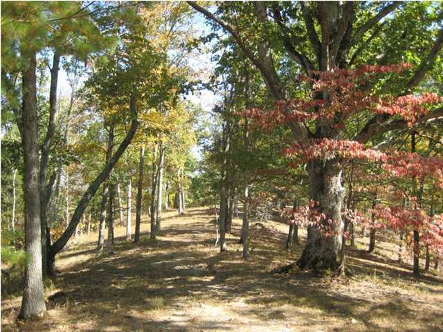 395 Drake Ridge Road Bloomfield, KY 40008 - Photo 3 of 4 Additional Photo